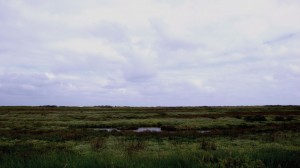 mapping_norfolk2