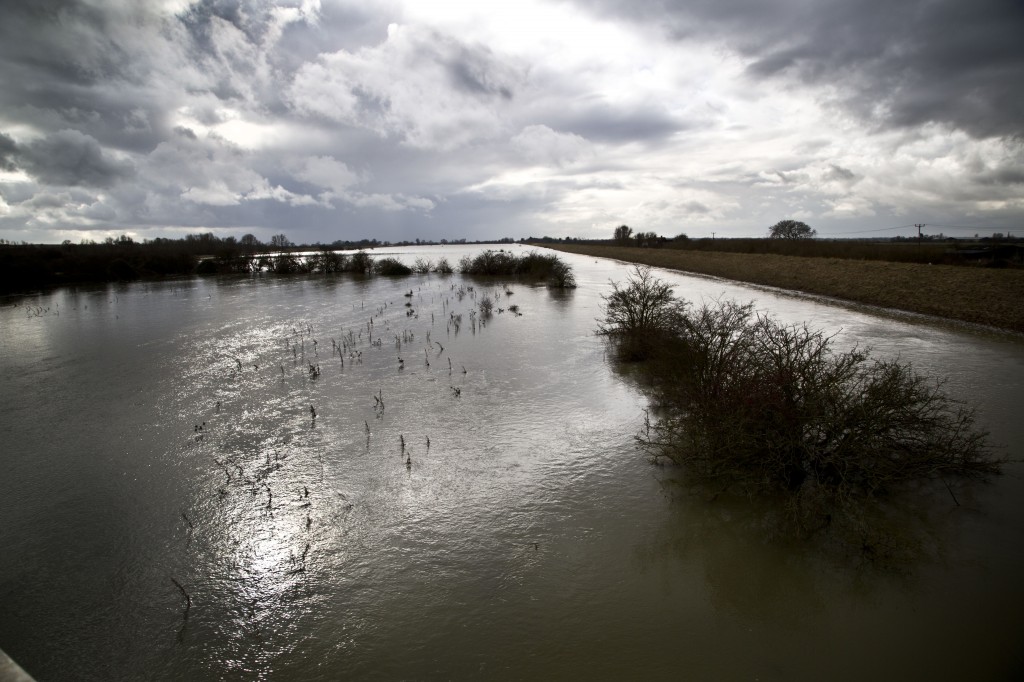 184A0076 100 Foot Washes in Flood