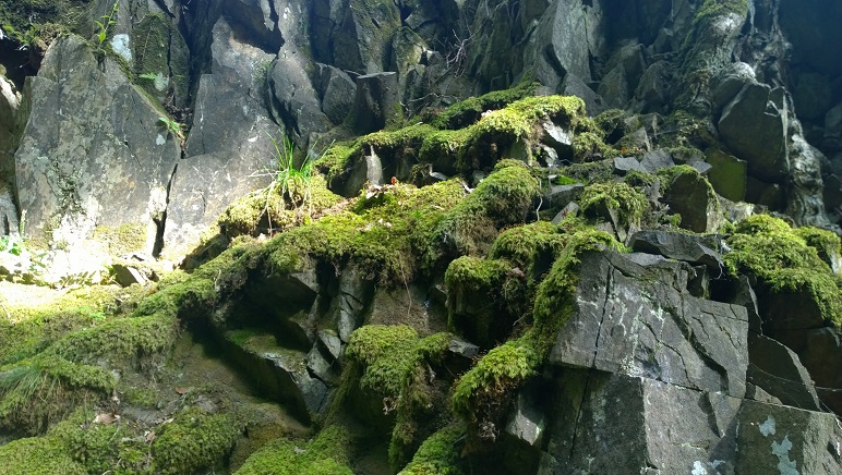 mossy-rocks-reduced